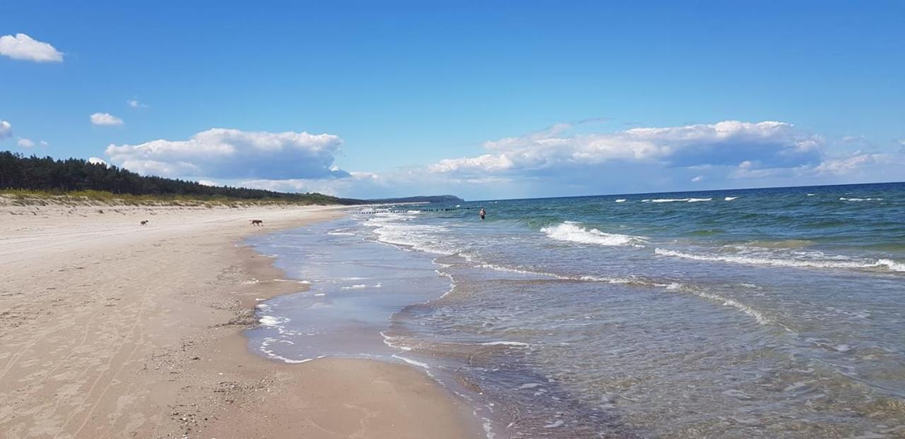 Apartament Bałtyk 8 Dziwnów Zewnętrze zdjęcie